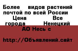 Более200 видов растений почтой по всей России › Цена ­ 100-500 - Все города  »    . Ненецкий АО,Несь с.